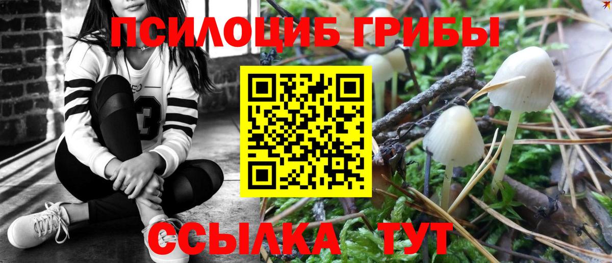 Псилоцибиновые грибы Psilocybine cubensis  Вход с VPN  Галлюциногенные грибы прущие грибы  Краснотурьинск 