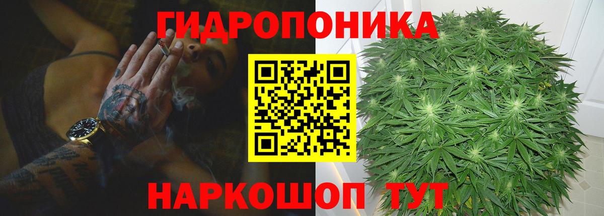 Бошки Шишки Amnesia Краснотурьинск